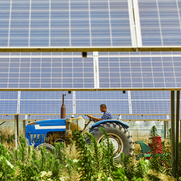 pannelli solari e agricoltura